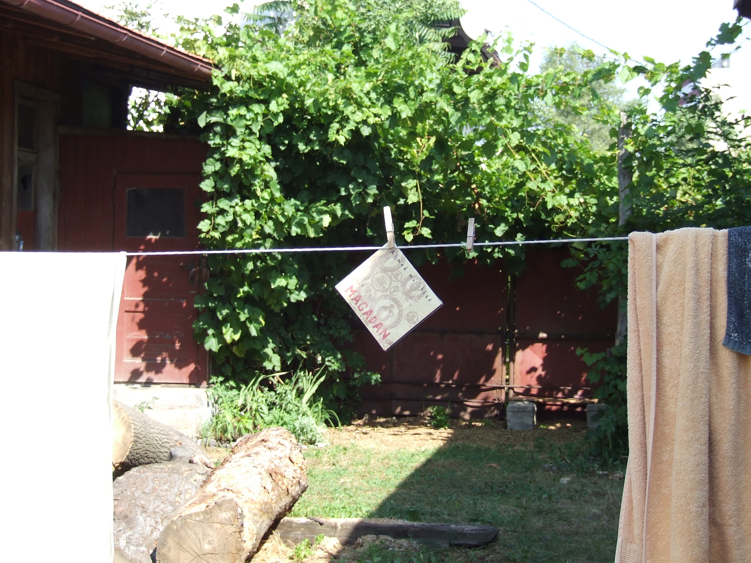 DSCF3059.JPG