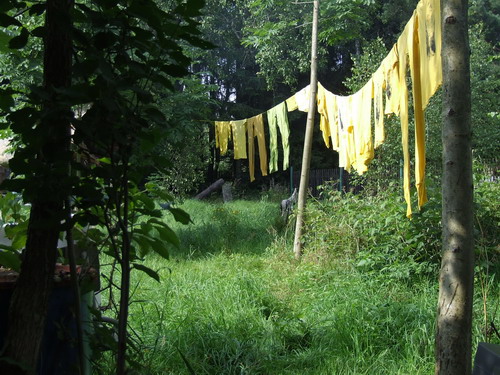 DSCF0733.JPG